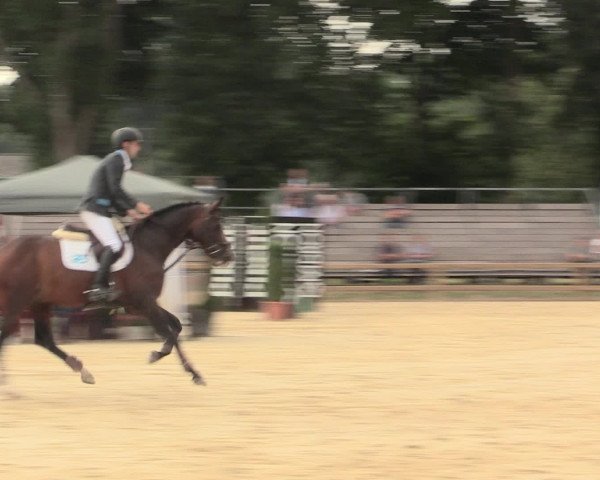 Reitturnier Münster-Handorf 2016
