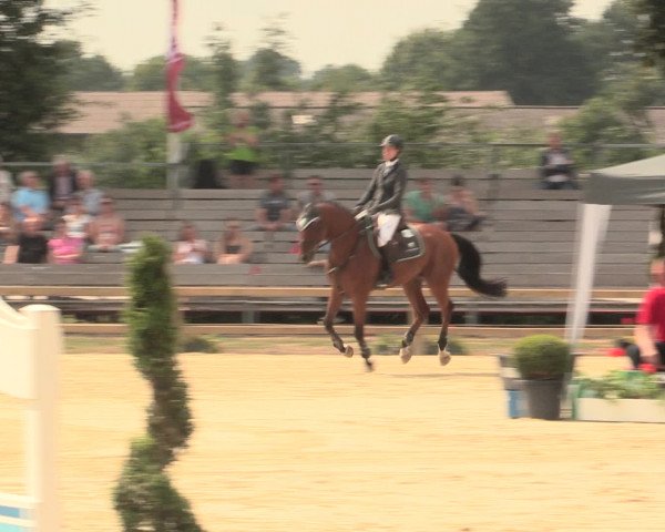 Reitturnier Münster-Handorf 2016