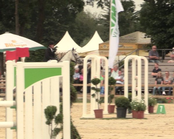 Reitturnier Münster-Handorf 2016