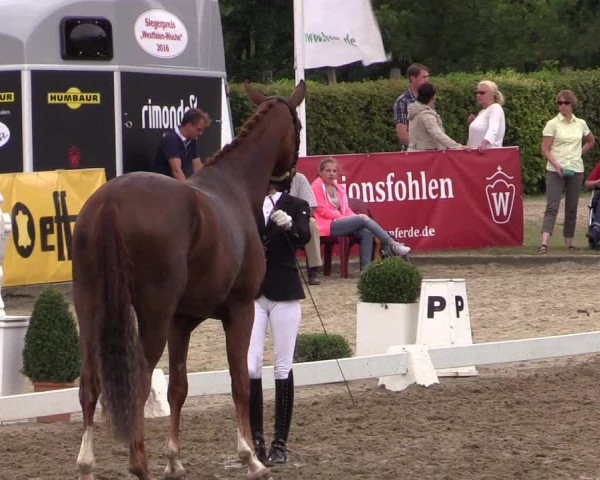 Westfalen-Woche 2016