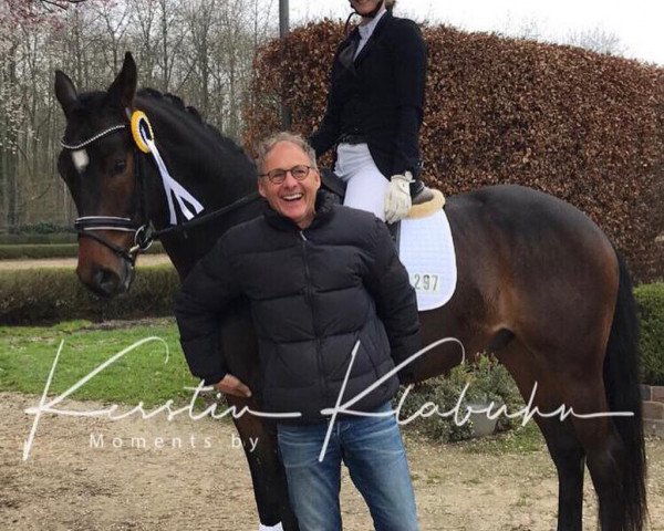 dressage horse PAJE Quant (Westphalian, 2014, from Quotenkoenig 2)