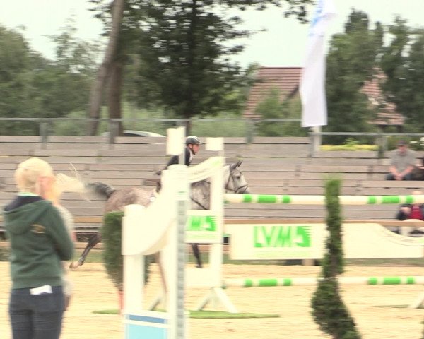 Reitturnier Münster-Handorf 2016
