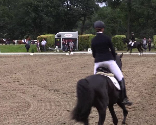 Reitturnier Münster-Handorf 2016