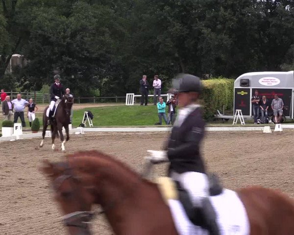 Westfalen-Woche 2016