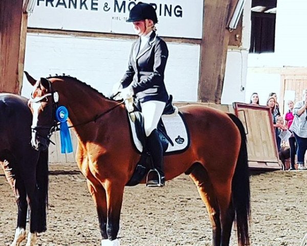 dressage horse Calippo (Trakehner, 2004, from Cornus)