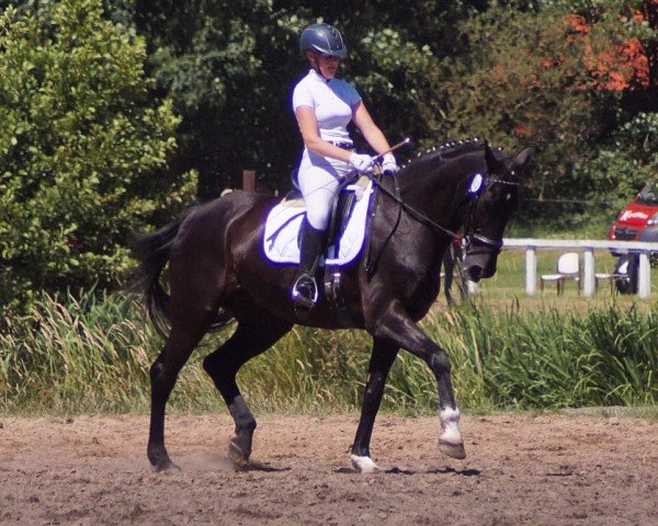 dressage horse Donnerschlag'sGirl (Hanoverian, 1997, from Donnerschlag)