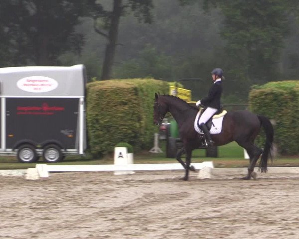 Reitturnier Münster-Handorf 2016