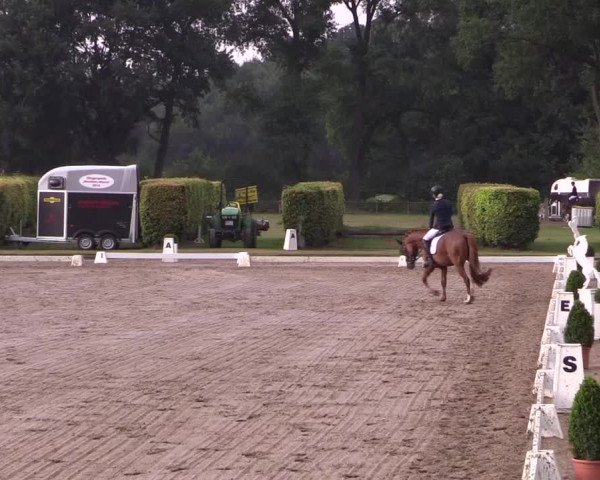 Reitturnier Münster-Handorf 2016