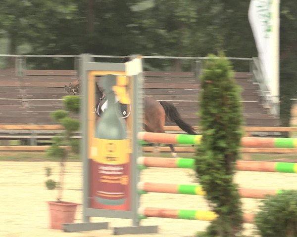Reitturnier Münster-Handorf 2016