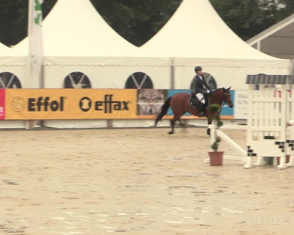 Reitturnier Münster-Handorf 2016