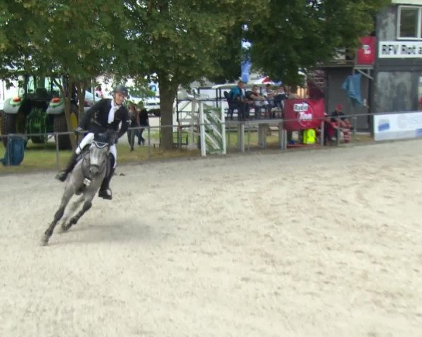 Reitturnier Rot am See-Musdorf 2016