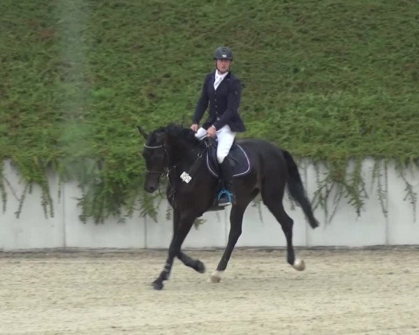 Reitturnier Lohmar-Halberg 2016
