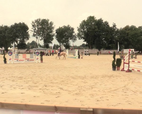 Reitturnier Münster-Handorf 2016