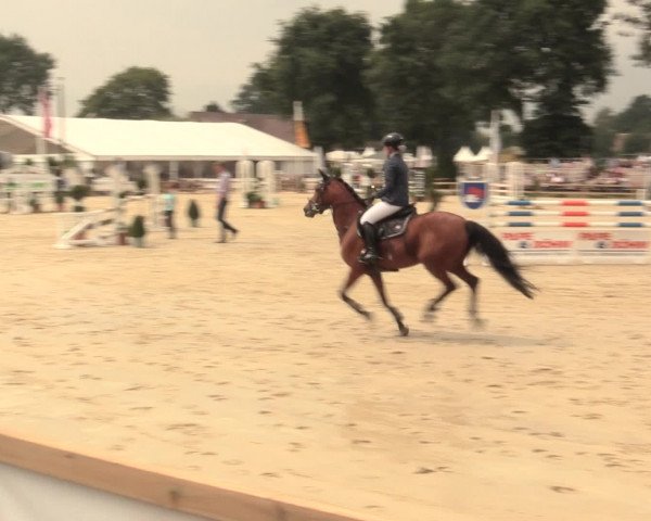 Reitturnier Münster-Handorf 2016