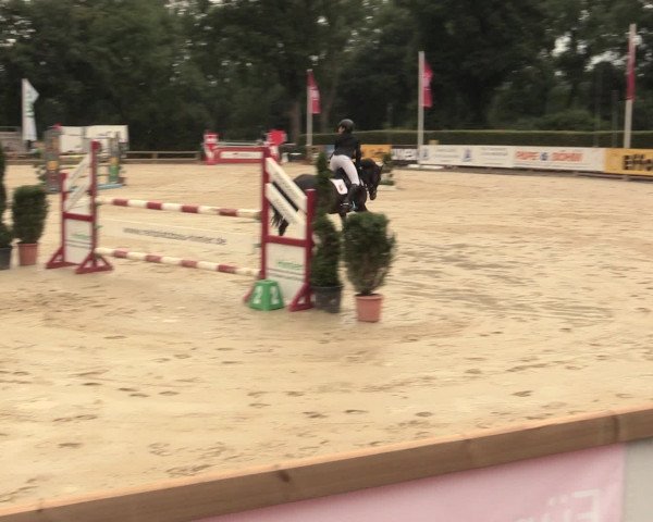 Westfalen-Woche 2016