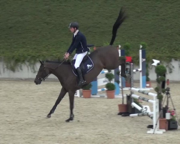 Reitturnier Lohmar-Halberg 2016