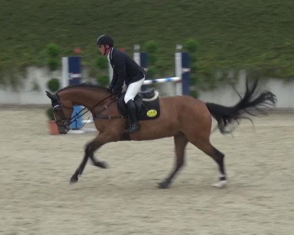 Reitturnier Lohmar-Halberg 2016