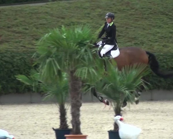 Reitturnier Lohmar-Halberg 2016
