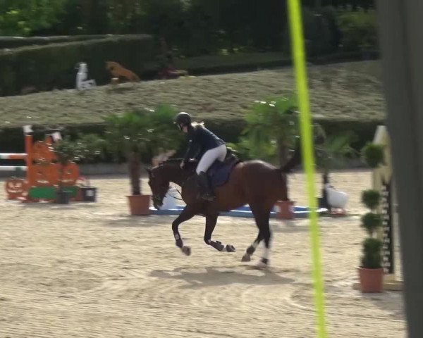 Reitturnier Lohmar-Halberg 2016