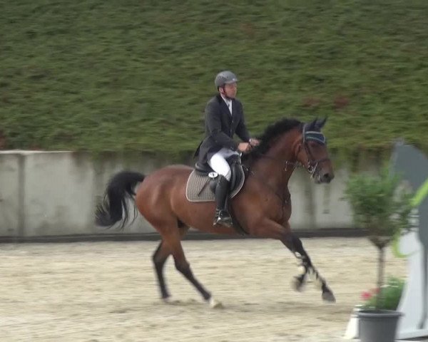 Reitturnier Lohmar-Halberg 2016
