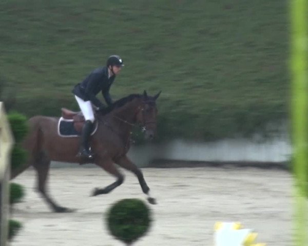 Reitturnier Lohmar-Halberg 2016