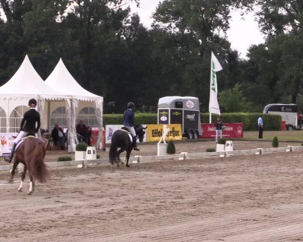 Westfalen-Woche 2016