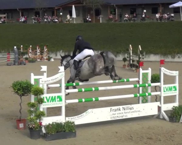 Reitturnier Lohmar-Halberg 2016