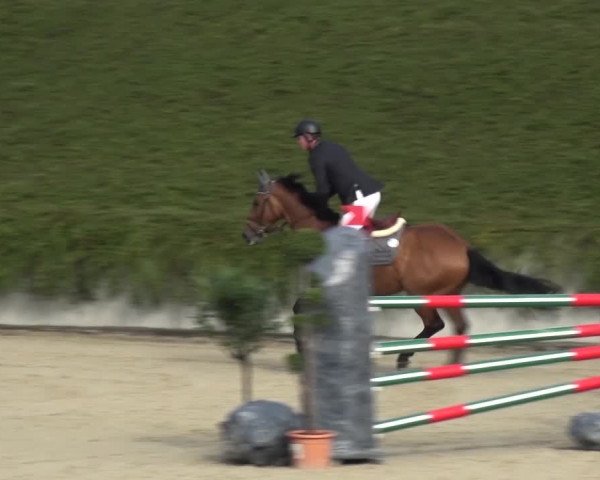 Reitturnier Lohmar-Halberg 2016