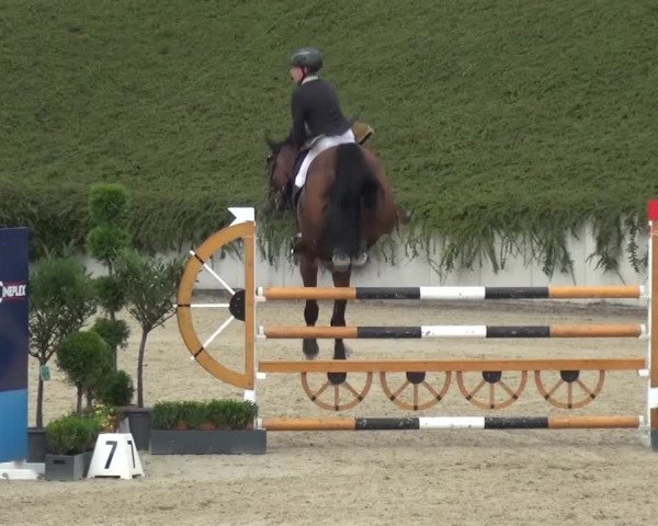 Reitturnier Lohmar-Halberg 2016
