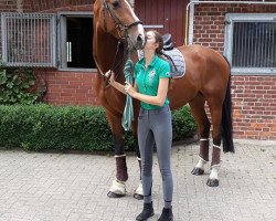 dressage horse Zacharia (Oldenburg, 2014, from Zack)