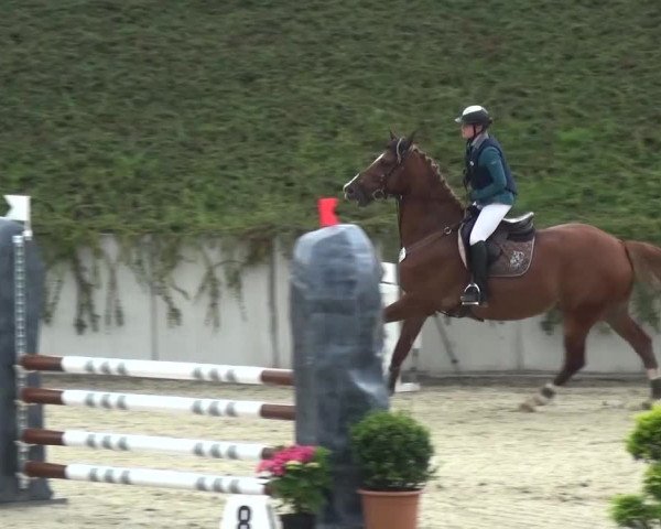 Reitturnier Lohmar-Halberg 2016