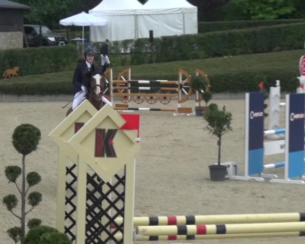 Reitturnier Lohmar-Halberg 2016