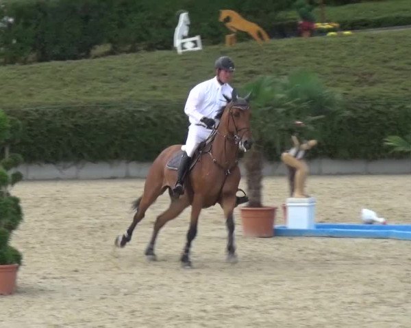 Reitturnier Lohmar-Halberg 2016