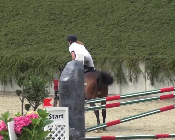 Reitturnier Lohmar-Halberg 2016