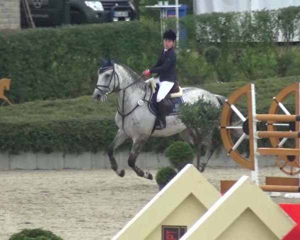 Reitturnier Lohmar-Halberg 2016