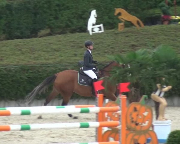 Reitturnier Lohmar-Halberg 2016