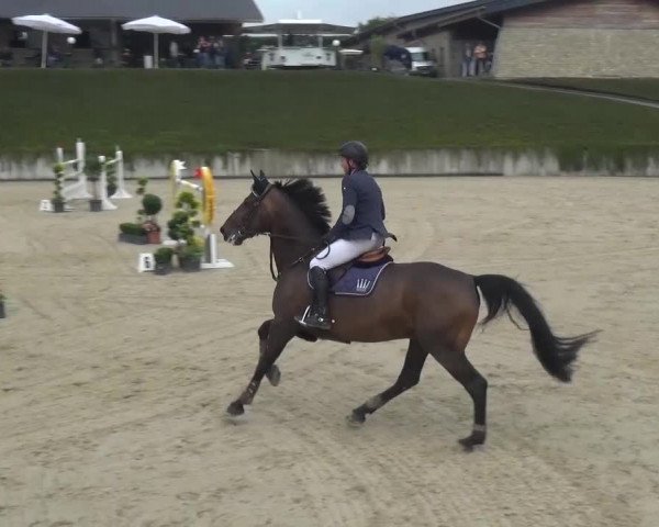 Reitturnier Lohmar-Halberg 2016