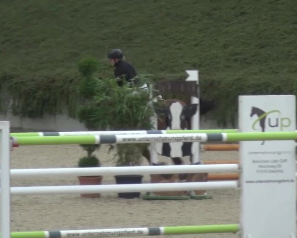Reitturnier Lohmar-Halberg 2016