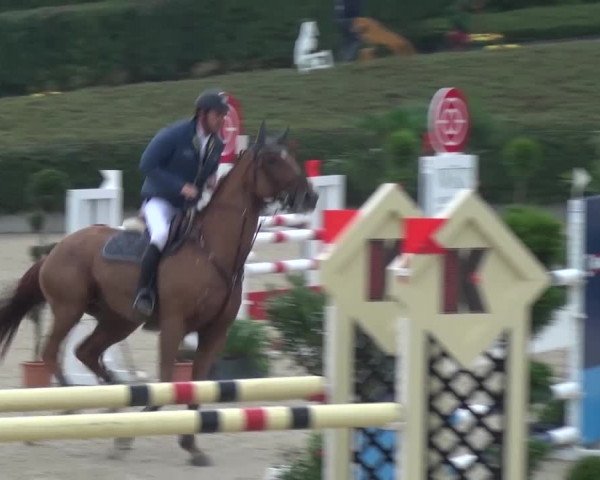Reitturnier Lohmar-Halberg 2016