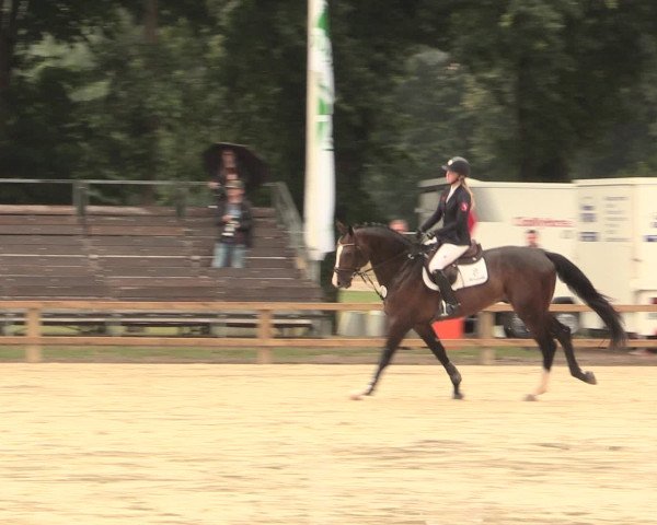 Westfalen-Woche 2016