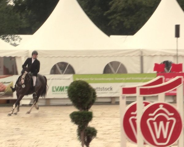 Reitturnier Münster-Handorf 2016
