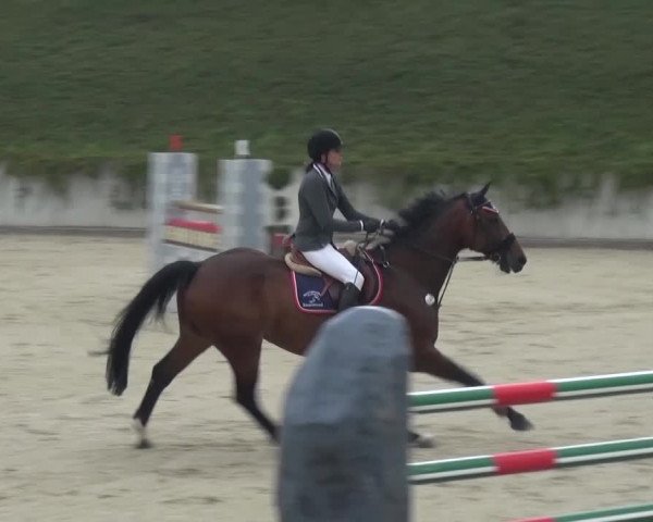 Reitturnier Lohmar-Halberg 2016