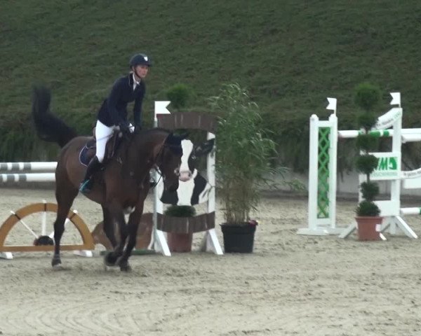 Reitturnier Lohmar-Halberg 2016