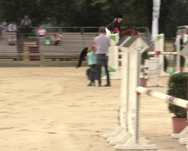 Westfalen-Woche 2016