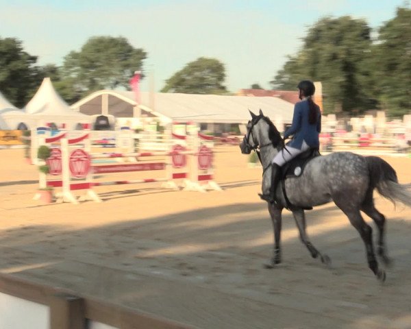 Reitturnier Münster-Handorf 2016