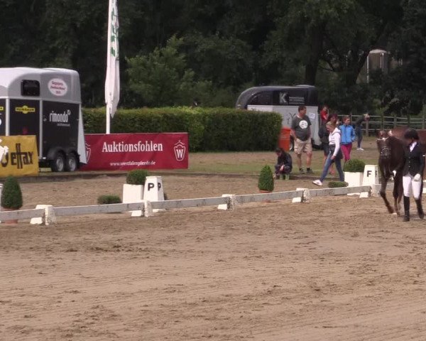 Reitturnier Münster-Handorf 2016