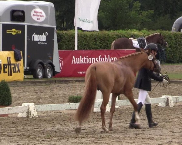 Westfalen-Woche 2016
