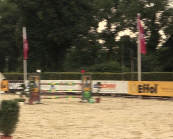 Westfalen-Woche 2016