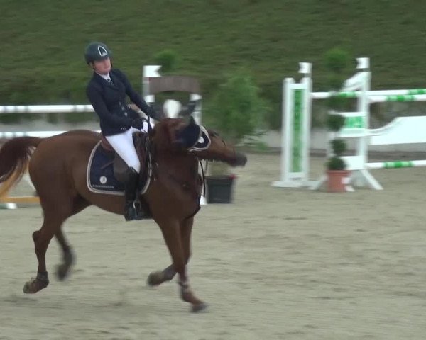 Reitturnier Lohmar-Halberg 2016