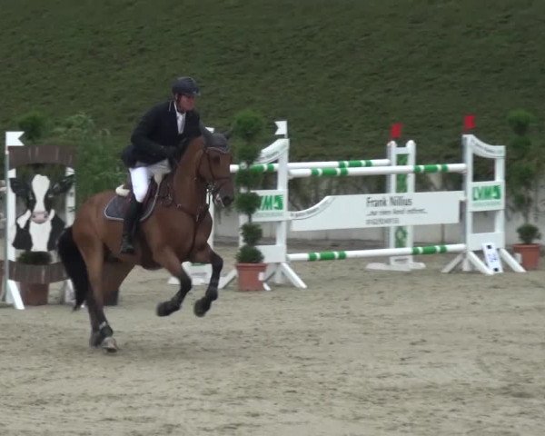 Reitturnier Lohmar-Halberg 2016